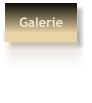 Galerie